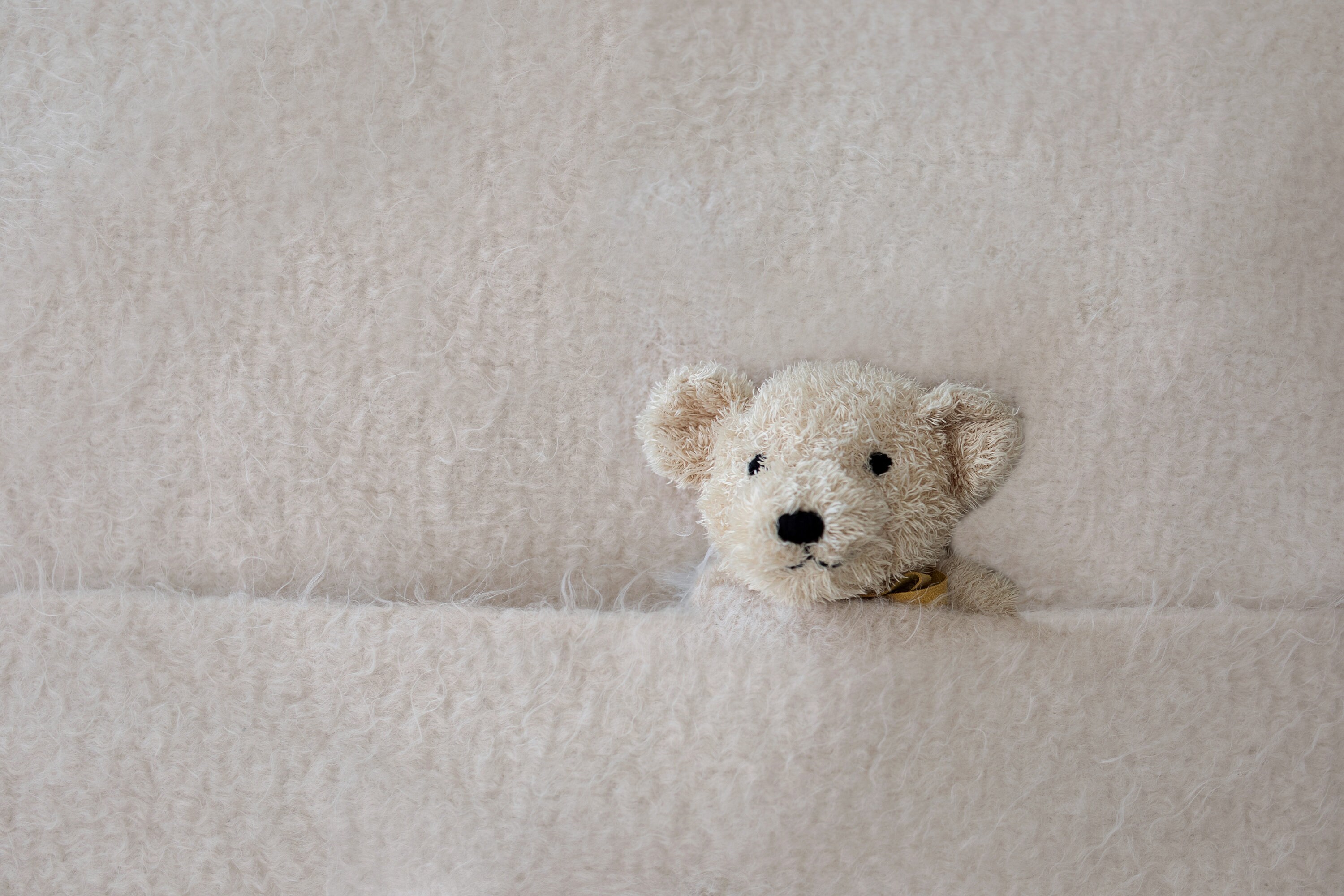 Teddy Bear Bed Etsy