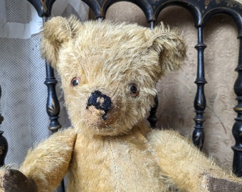 Sweet old English teddy bear 16 1/2"