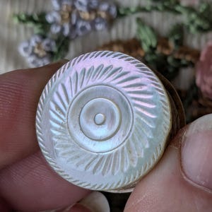 May include: A round, iridescent mother-of-pearl button featuring a central circular indentation surrounded by a ring of radiating, carved grooves. The outer edge of the button is finished with a textured, rope-like border pattern.