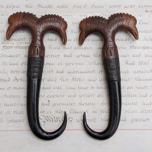 May include: Two matching cane handles carved from dark brown wood, each featuring a dual-headed bird design at the top. The handles transition into a smooth, curved, black horn-like material at the base, showcasing intricate detailing and craftsmanship.