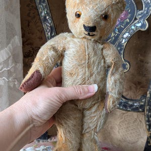 Chad valley bear - Etsy 日本