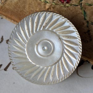 May include: A round, white, iridescent mother-of-pearl button featuring a central circular indentation and a radiating sunburst pattern of carved grooves extending toward the outer edge, with subtle brown discoloration within the textured details.