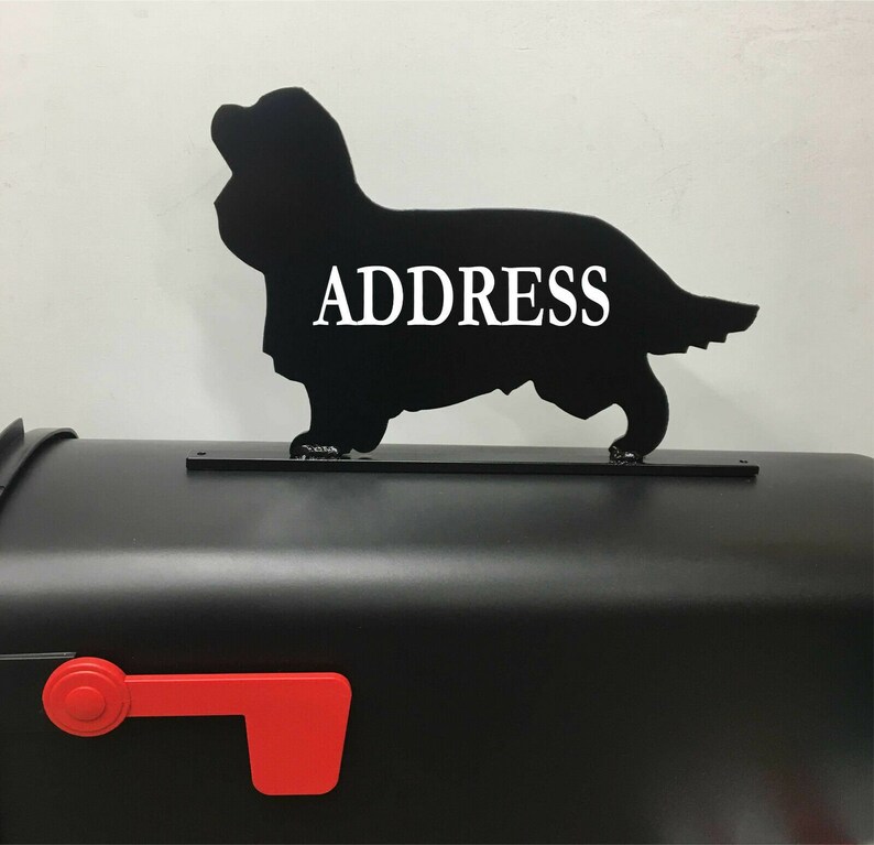 Cavalier King Charles Spaniel Mailbox Topper 20 Cavalier King Charles Spaniel Mailbox Topper 20