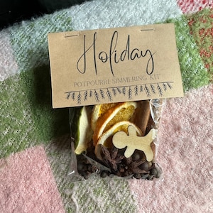 Holiday Spice Simmer Kit, Simmer Pot, Potpourri Simmer Kit, Orange and Apple, Clove, Cinnamon