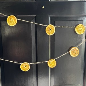 Orange Slice Garland, Dried Fruit Garland, Orange Slice Garland, Holiday Garland