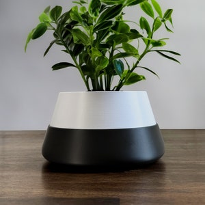 May include: A small, green leafy plant in a two-tone planter. The planter is white on top and black on the bottom. The plant has multiple green leaves and stems. The planter is sitting on a wooden surface.