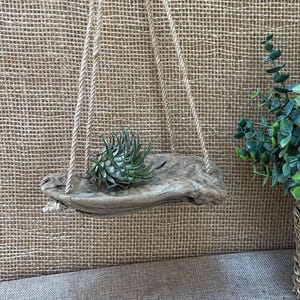 May include: A natural driftwood shelf suspended by two thick tan jute ropes. The piece of weathered wood features a hollowed-out center holding a small green air plant. The structure is designed to hang vertically, showcasing the organic texture and light brown color of the wood grain.