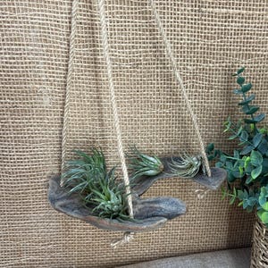 May include: A hanging planter made from a curved piece of dark brown driftwood suspended by three tan jute ropes. The driftwood holds three small green air plants. To the right, a separate woven basket contains a green eucalyptus plant.