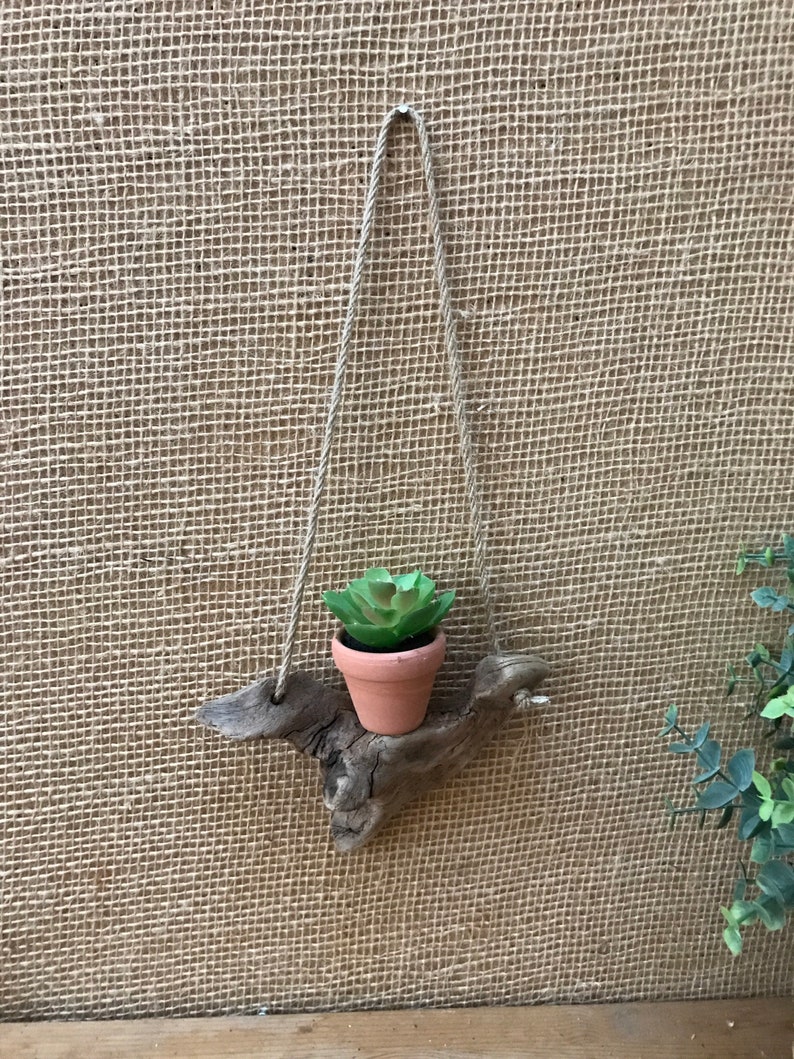 Driftwood Branch 6 Floating Shelf Air Plant Holder Etsy