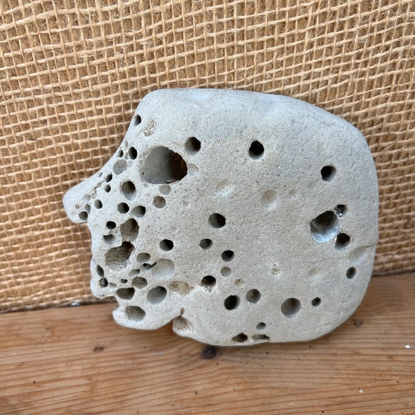 Large Hag Holey Stone Rock Unique Paper Weight or air plant holder~Spiritual~Rock shaped like a head