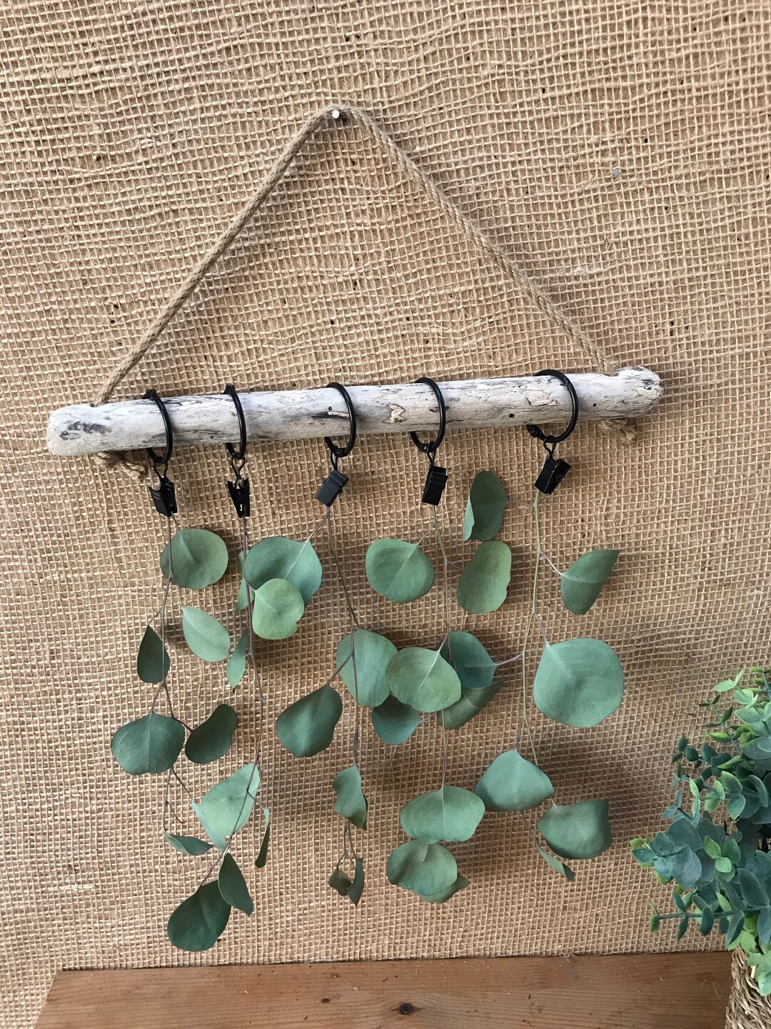 Driftwood Dried 12
