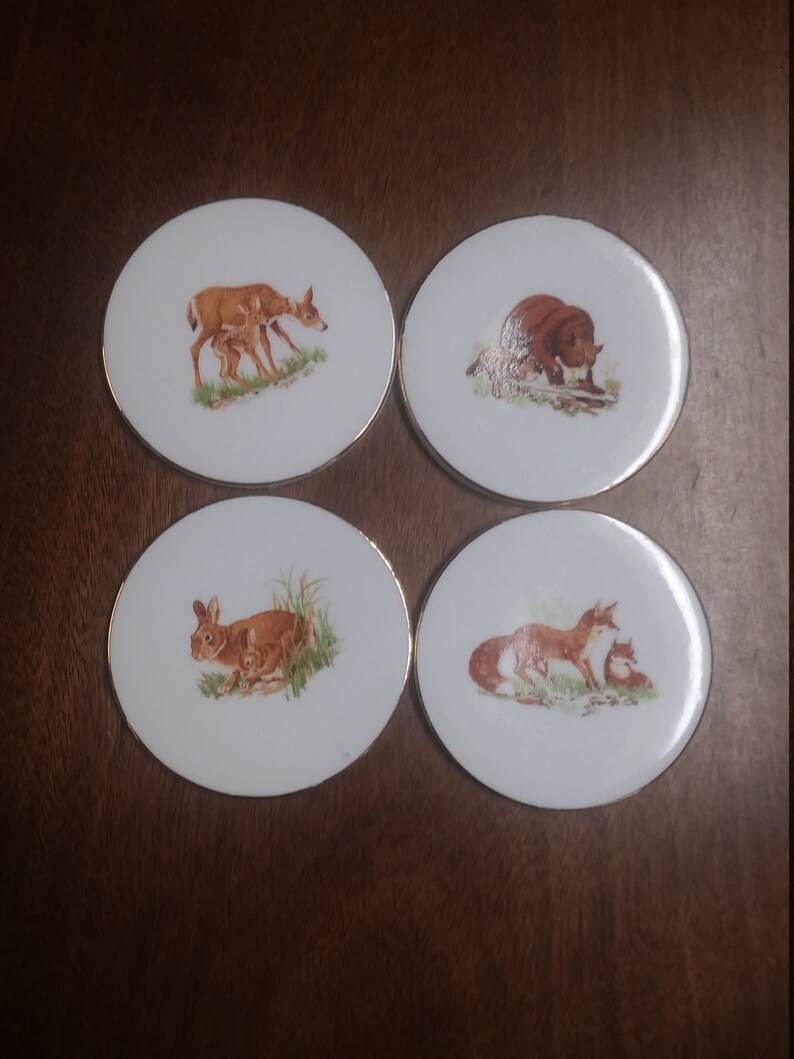 Wildlife Coasters set of 4 ceramic rustic unique Etsy