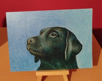 Könnte beinhalten: Bleistiftzeichnung eines schwarzen Labrador-Hundes vor hellblauem Hintergrund. Der Hund ist im Profil dargestellt und blickt nach oben. Das Kunstwerk wird auf einer kleinen Holzstaffelei präsentiert, die die detaillierte Schattierung zeigt.