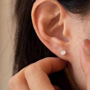 0.5 Carat Total Weight Diamond Earring Studs / Everyday Diamond Earrings