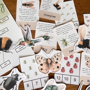 May include: A collection of educational cards and illustrations featuring various insects. The cards include labeled diagrams of bees, butterflies, and other insects, with the word "Anatomy" visible. The color palette includes natural tones of brown, beige, and orange.