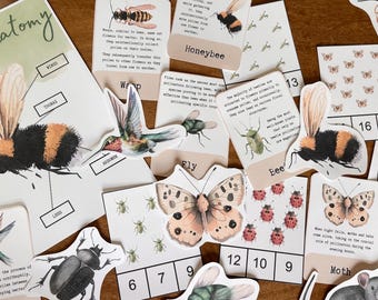 Spring Unit Study Homeschool Pollinators - Butterfly, Bee, Bird Lesson Plan - Homeschool Printables - Homeschool Unit Studies