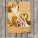 see more listings in the Mini Session Templates section