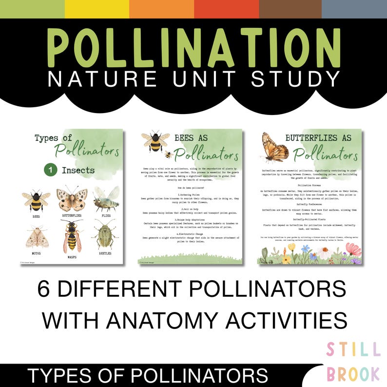 Spring Unit Study Homeschool Pollinators - Butterfly, Bee, Bird Lesson ...