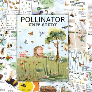 Könnte beinhalten: Eine farbenfrohe, druckbare Unterrichtseinheit über Bestäuber. Das Cover zeigt eine Aquarell-Illustration eines Bienenstocks, eines Baumes und eines Teichs mit Seerosen. Der Text "Pollinator Unit Study" ist in großen, fetten Buchstaben.