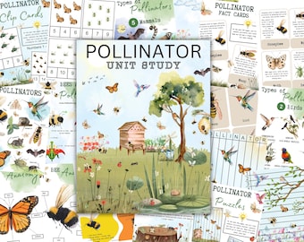 Estudio de unidad sobre POLINIZACIÓN - POLINIZACIÓN DE PRIMAVERA - Imprimible para el aula escolar - Plan de lección para el maestro - Educación en el hogar Montessori Matemáticas Escritura a mano Pre-k