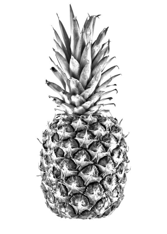 Black and White Pineapple | Etsy Pineapple perfume | Etsy