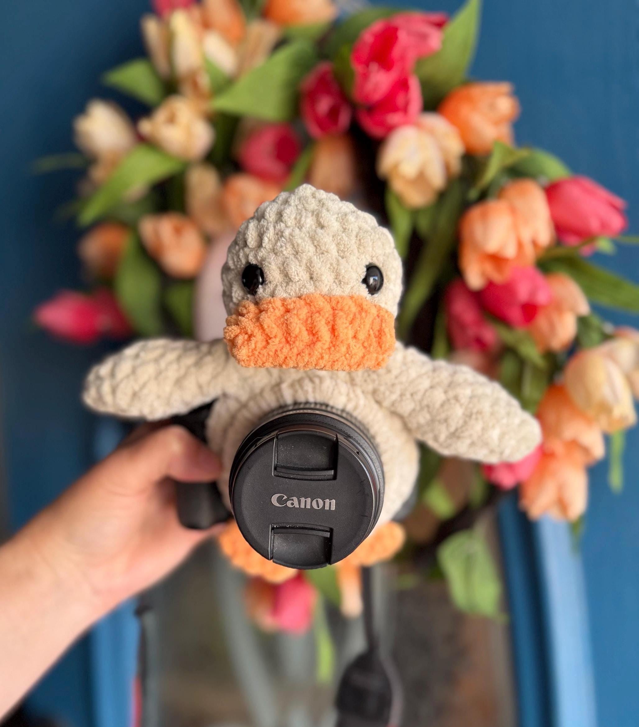 Crochet Duck Lens Buddy With Squeaky Wing! *MADE TO ORDER* Updated