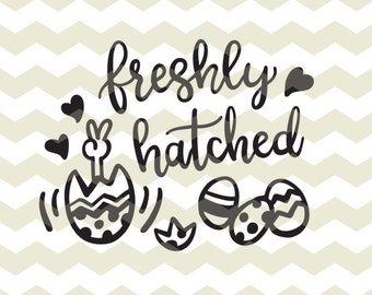 Freshly hatched, cute fun funny babies happy Easter eggs digital cut files, SVG, DXF, studio3 files instant download, diy decals