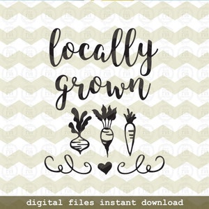 Cultivado localmente, verduras de raíz de granja divertidos agricultores comercializan archivos de corte digital, SVG, DXF, studio3 descarga instantánea, calcomanías de vinilo diy