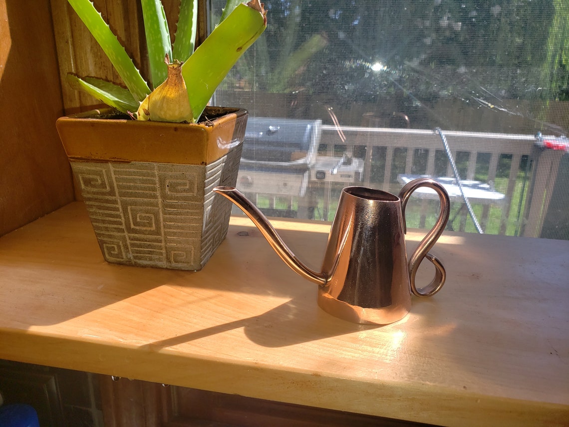 Mini bonsai copper watering can handmade Etsy