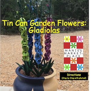 Gladiolas: Tin Can Flowers