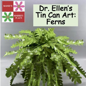 Ferns: Dr. Ellen’s Tin Can Art Pattern