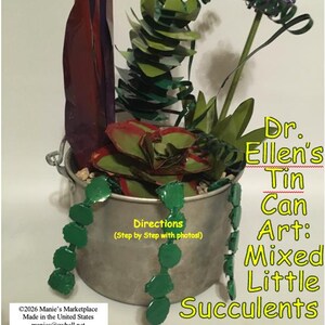 Mixed Little Succulents: Dr. Ellen's Tin Can Art Directions