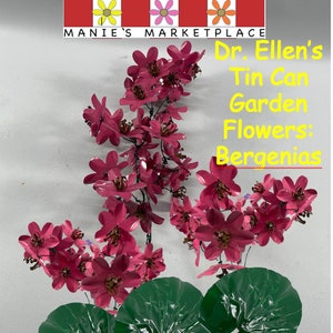 Bergenias: Dr. Ellen’s Tin Can Art Pattern
