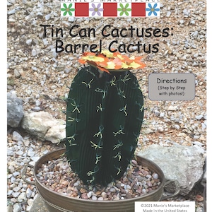 Cactus a botte: istruzioni per i cactus in lattina