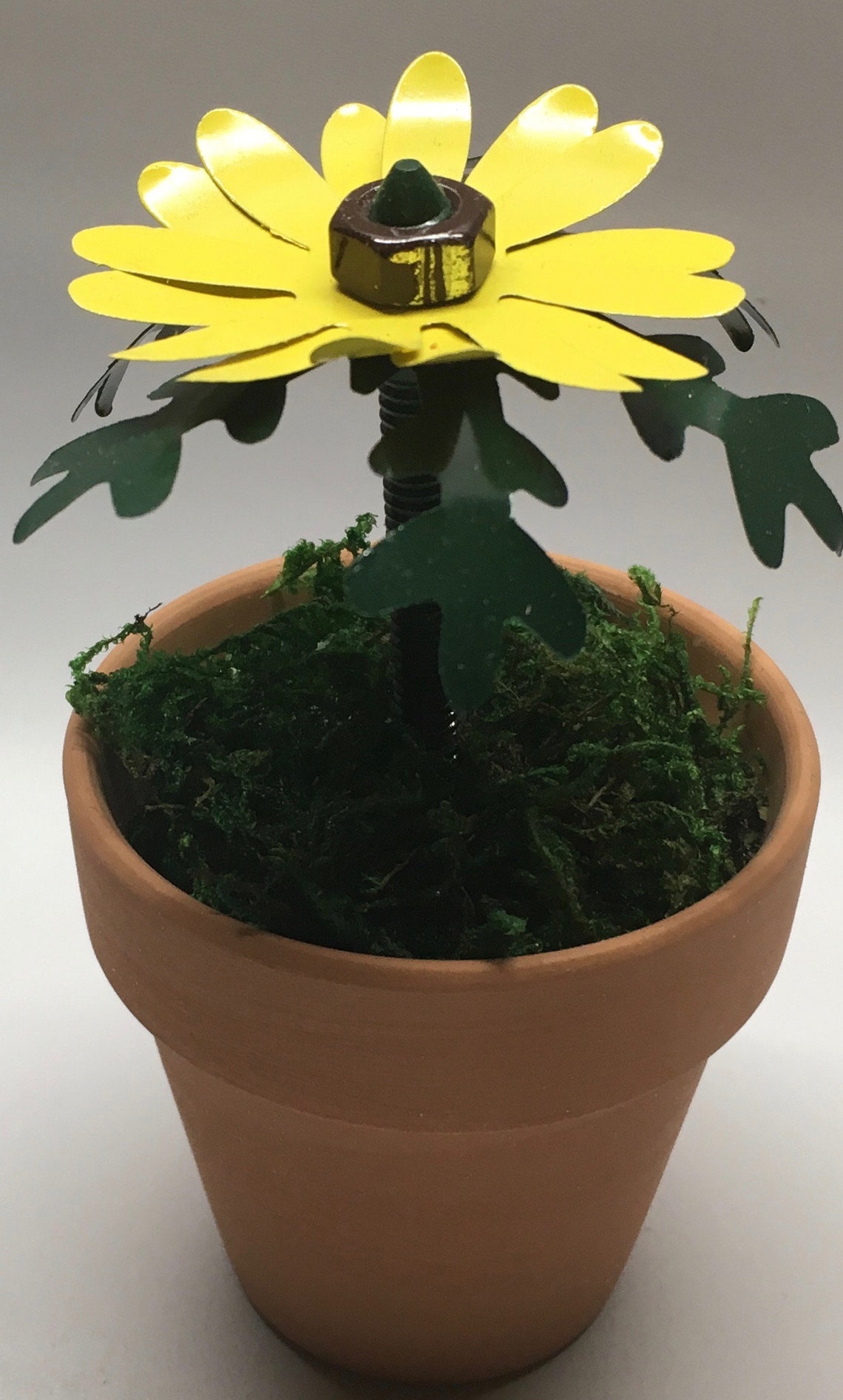 Tin Can Daisies Directions Etsy