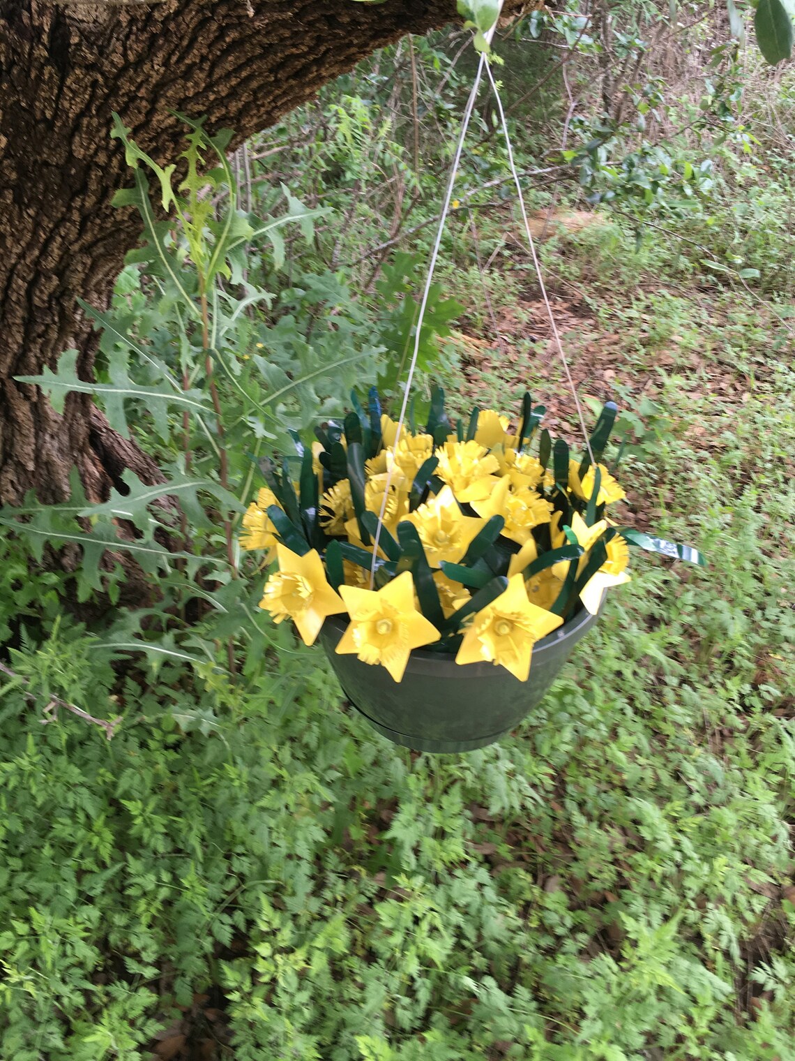 Daffodils Tin Can Hanging Baskets Directions Etsy