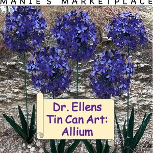 Allium: Dr. Ellen's Tin Can Art Pattern