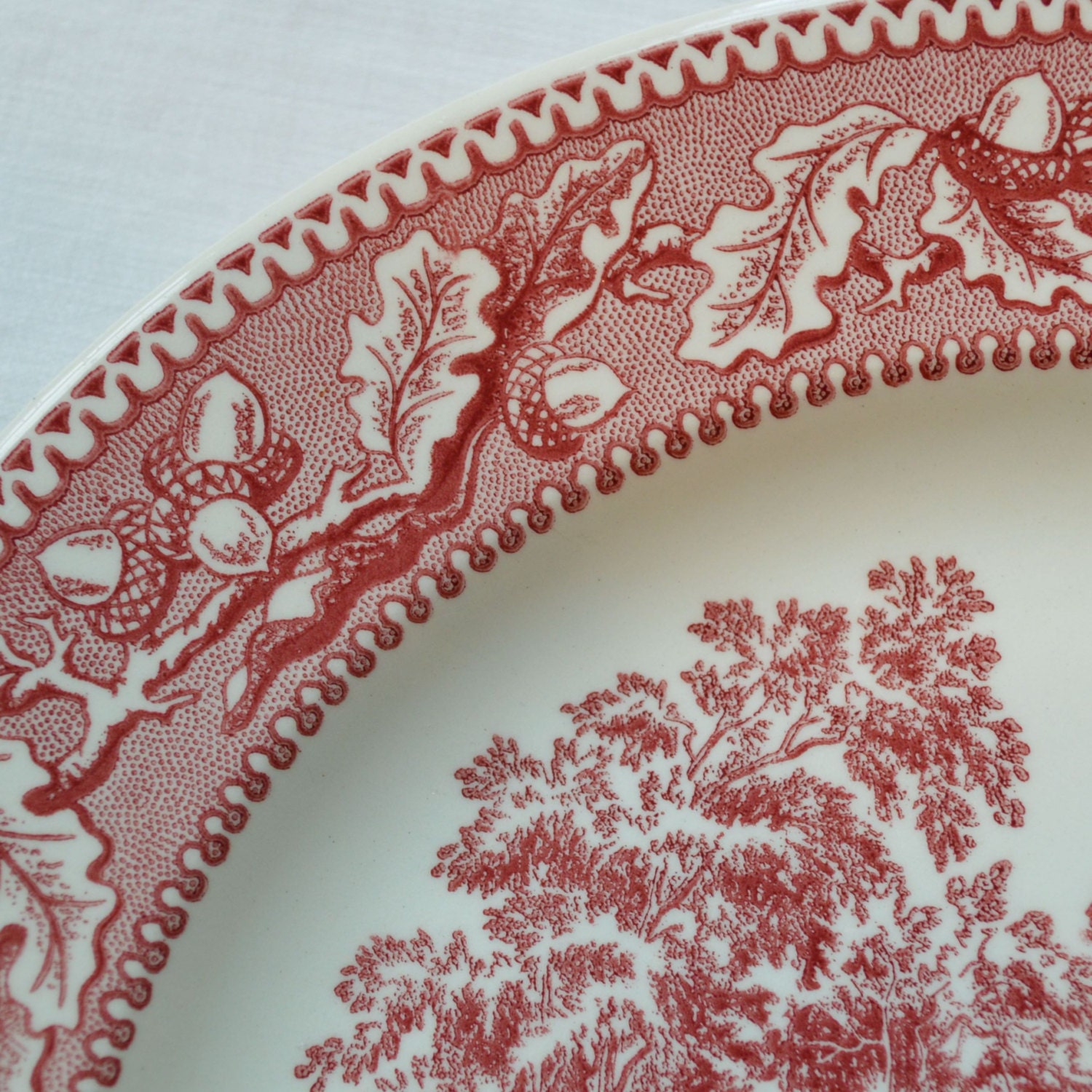 1965 Royal Ironstone Memory Lane Pink Red Acorn One (1) dinner plate 10