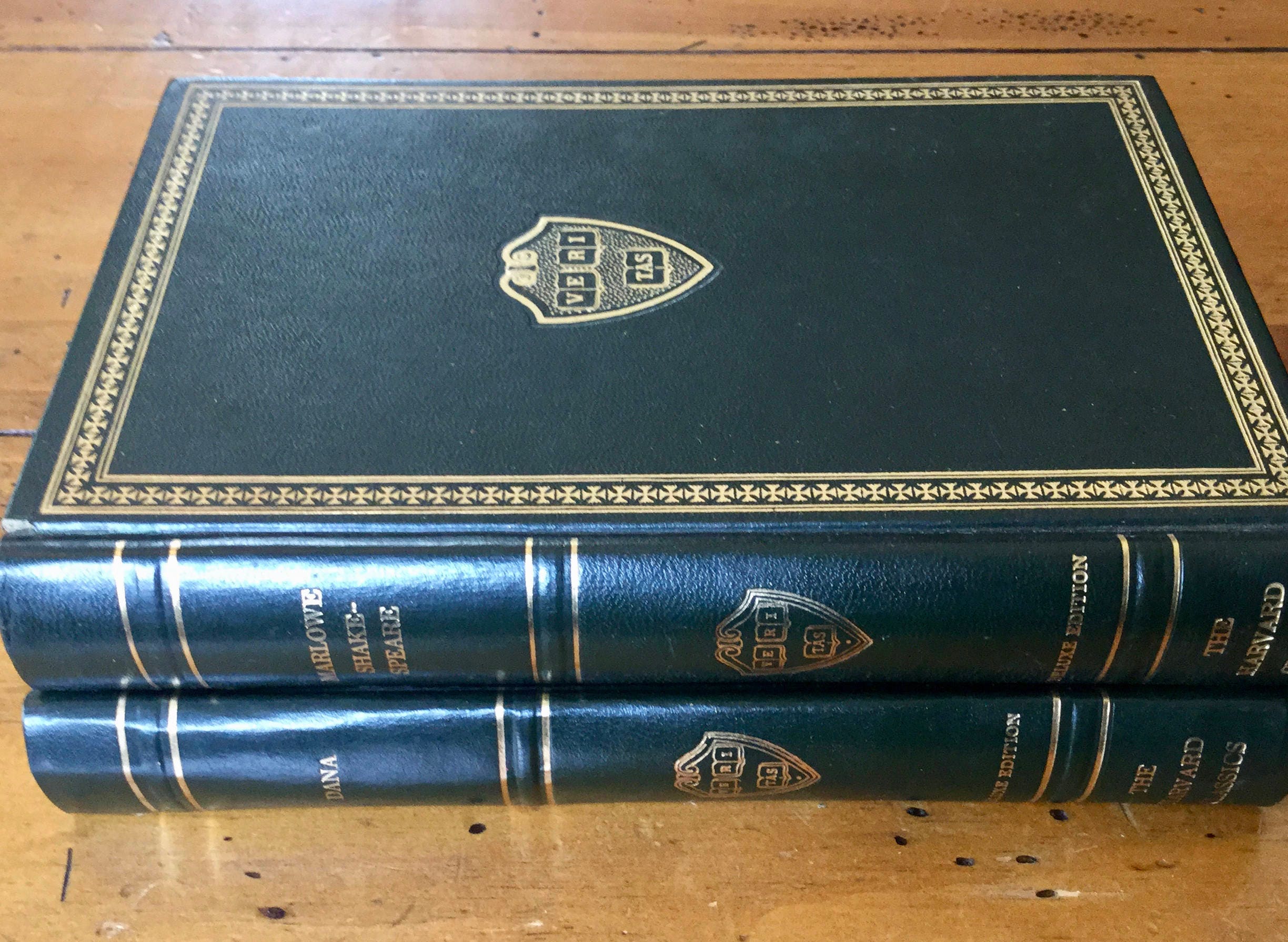 Set of 2 Classic Decorative Leather book, Vintage Book decor, The