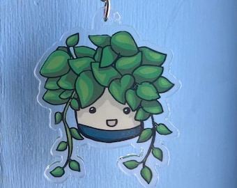 Llavero colgante de planta de interior