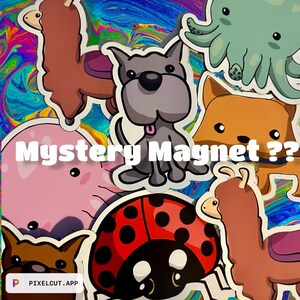 Mystery Magnet