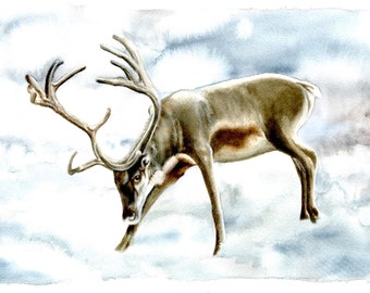 WINTER DEER - Watercolor Painting Print, 7.5"x9.5" and 11x14, soft greys and browns