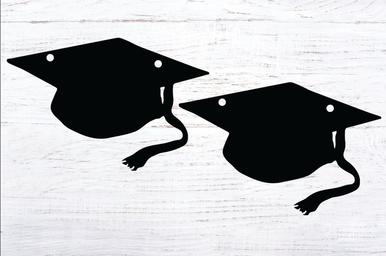 Free Free Graduation Cap Topper Svg 866 SVG PNG EPS DXF File