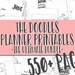 Mary Matson reviewed Ultimate Journal Printables /Planner Printables Bundle - The Doodles Planner Series 550+ Printable inserts with doodles to color in