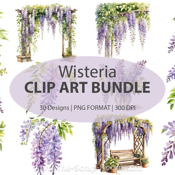 Glycine fleurs aquarelle Clip Art Designs, clipart glycine, floral glycine, aquarelle de fleurs, glycine, plantes, flore