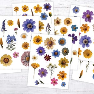 Lot d'autocollants imprimables fleurs pressées séchées pour artisans, cadeau de bricolage pour jardinier, agenda, carnet de bord, autocollants de scrapbooking, travaux manuels d'été