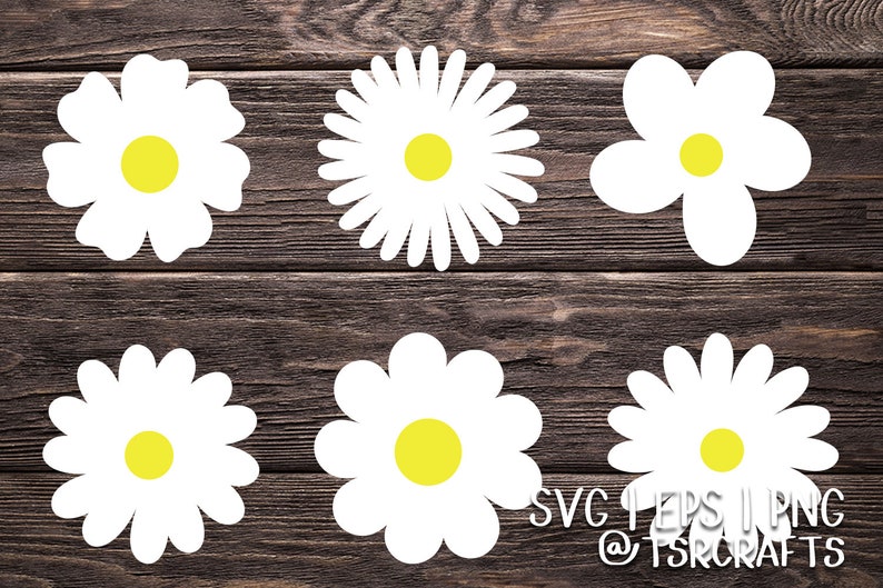 Daisy SVG Bundle / Flower SVG Cut Files Bundle - Etsy