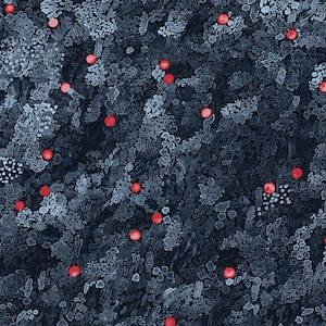 Marimekko Kurjenmarja cotton fabric , sold by half yard, 18x56&quot; 46cm x 140cm, blue and red