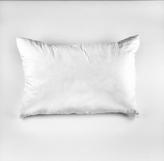 20x30 pillow insert