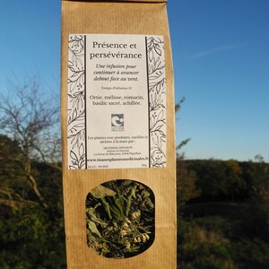 Peut inclure: Un sachet en papier kraft avec une étiquette blanche indiquant "Présence et persévérance" et listant les ingrédients d'une tisane : ortie, mélisse, romarin, basilic sacré et achillée. L'étiquette mentionne également le nom "ARTEMISIA INFUSION" et le site web "www.tisanesplantesmedicinales.fr".
